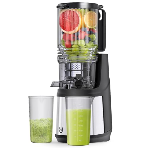Kauen Entsafter, 350W Slow Cold Press Entsafter mit 140 MM extra großer Fütterungsrutsche, Entsafter Maschinen für ganzes Obst und Gemüse, einfach mit Pinsel zu reinigen : Küche, Haushalt &amp; Wohnen