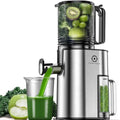 CelerySpec Slow Juicer Testsieger, Entsafter für Ganze Gemüse und Obst, Juicer Machine mit 130 mm Einfüllöffnung, 1,8L, BPA frei, 250W, Rücklauffunktion, einfache Reinigung, Edelstahl Schwarz : Küche, Haushalt &amp; Wohnen